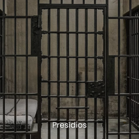 Área de atuação (10)